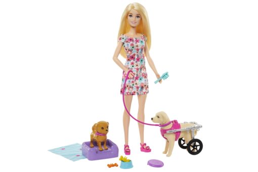 Mattel Barbie Panenka a pejsek s invalidním vozíčkem - Image 5