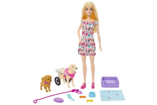 Mattel Barbie Panenka a pejsek s invalidním vozíčkem - Image 6